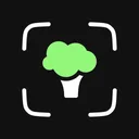 AI Calorie Counter with Photo