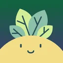 Plant Identifier,The Care Tips