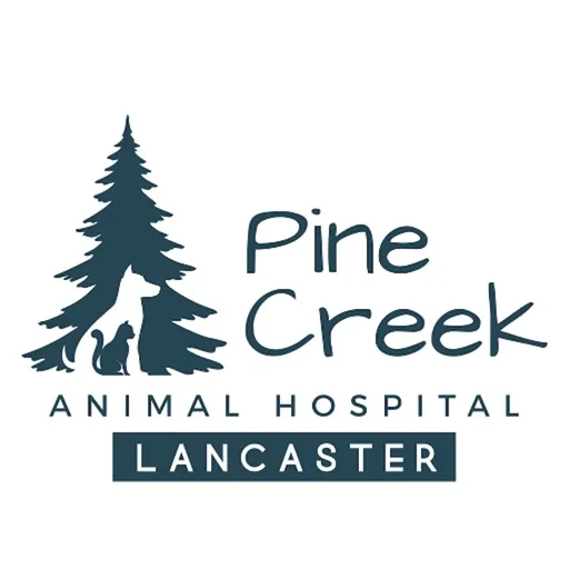Pine Creek AH Lancaster
