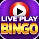 Live Play Bingo: Real Hosts!