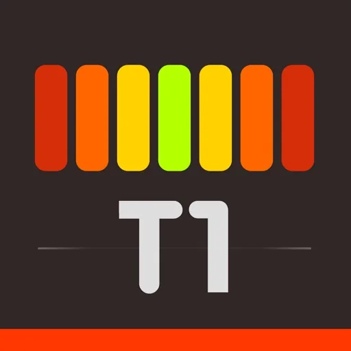 调音器 T1