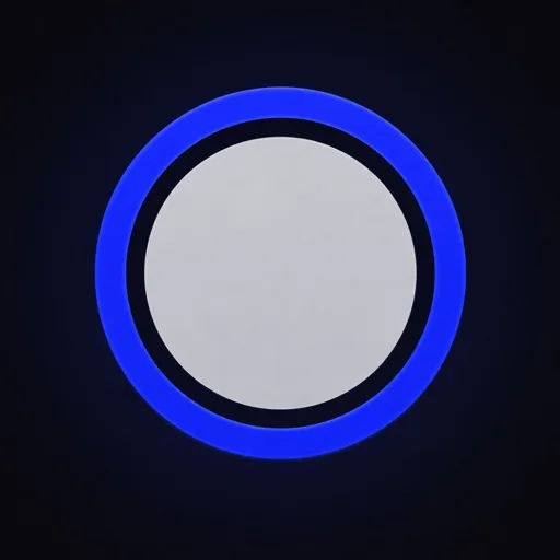 记账: Moncap