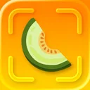 Honeydew: Recipe & Cookbook AI
